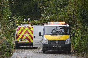 Island Roads clearing fallen tree at Undercliff Drive