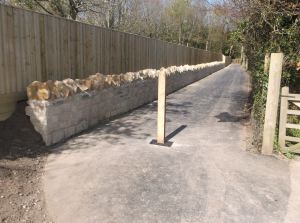 BRADING VOTERS APPROVE NEIGHBOURHOOD DEVELOPMENT PLAN