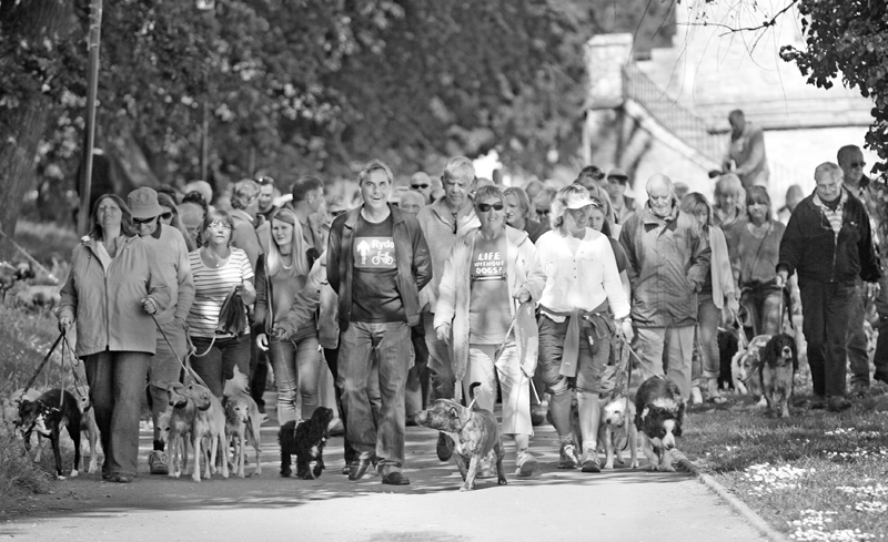 parkthedogbw