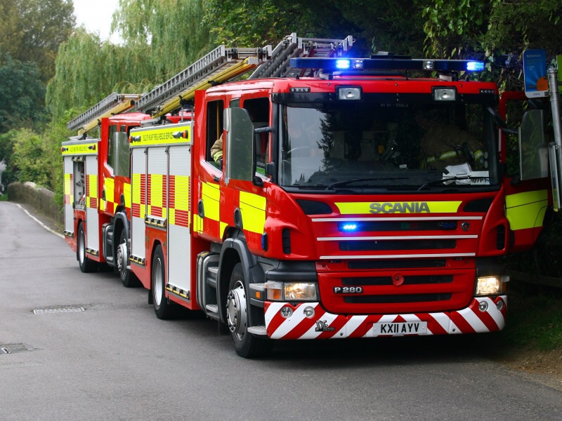 FIREFIGHTERS WORK TO FREE BULL IN RIVER