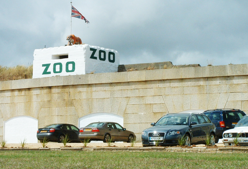 ZOO MOURNS LOSS OF TIGER ‘CHANDRU’
