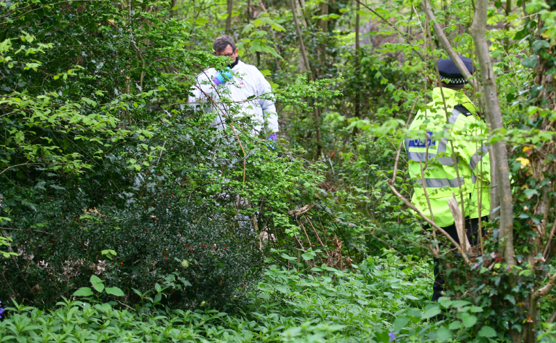 FORENSIC SEARCH OF EAST COWES WOODLAND 