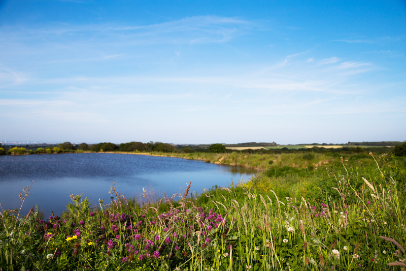 ISLAND COMPANIES WORK TOGETHER TO RETURN QUARRY BACK TO NATURE