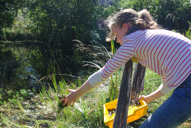 OLD POND WELCOMES YOUNG PEOPLE IN RYDE