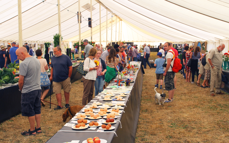 SUNNY AND BUSY START TO THE CHALE SHOW