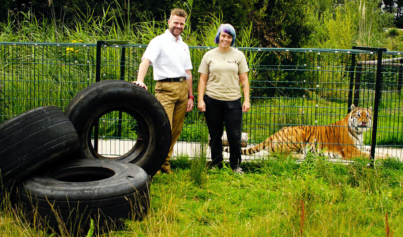 NEW TOY DONATION IS SURE TO TYRE OUT THE BIG CATS