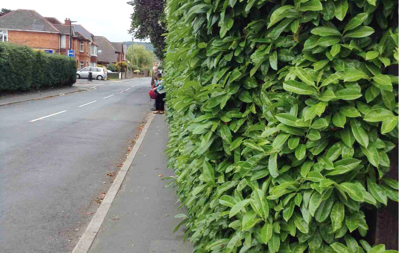 RESIDENTS’ SUPPORT SOUGHT AS PAVEMENT IMPROVEMENTS CONTINUE