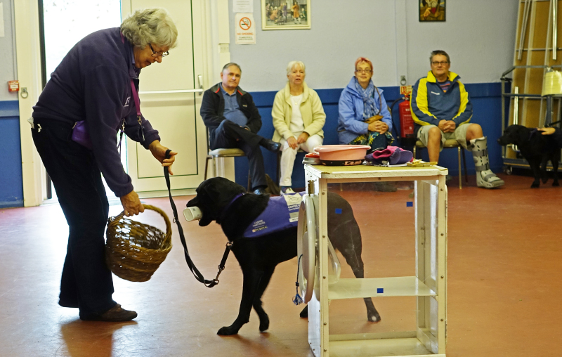 CANINE PARTNERS OPEN DAY A SUCCESS