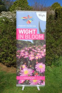 wightinbloomlaunchmottistone4