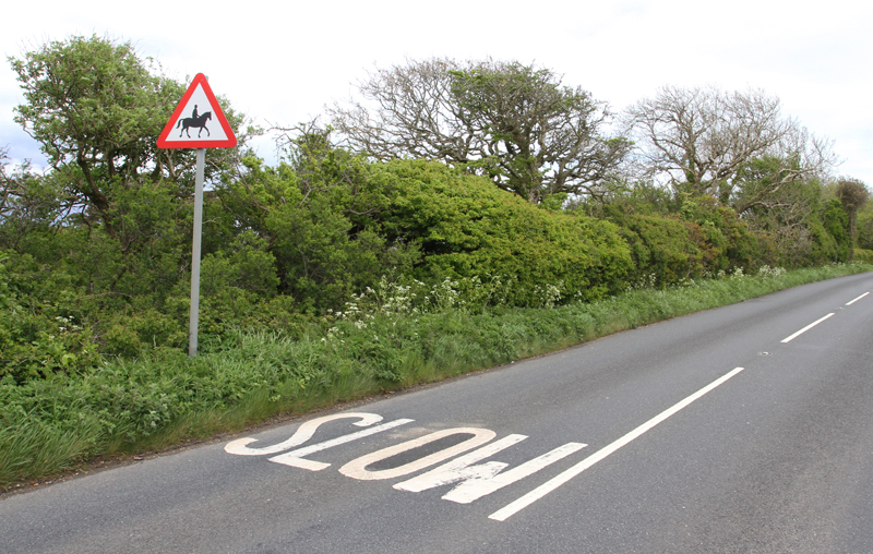 CAR ROLLS ON BRADING DOWN