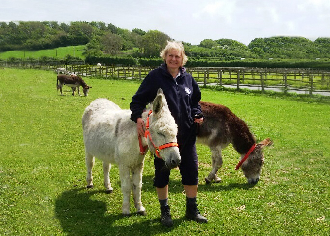 DONKEY WORK HITS THE RIGHT NOTE FOR MUSIC TEACHER