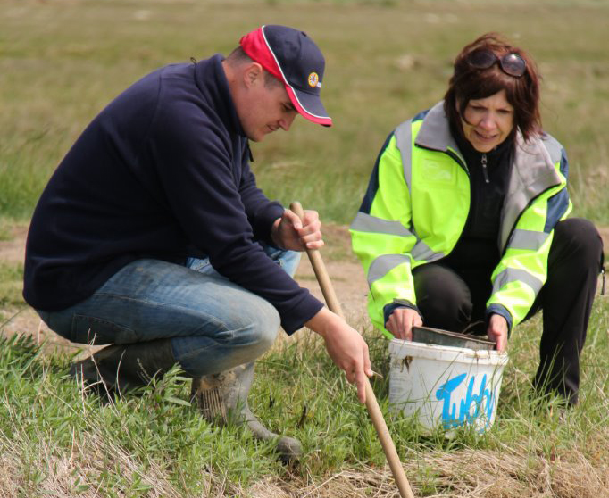 ISLAND ROADS STAFF HELP NEWTOWN NATURE SURVEY