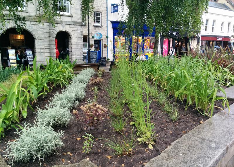 FLAVOUR OF THE MED ARRIVES IN NEWPORT FLOWER BEDS