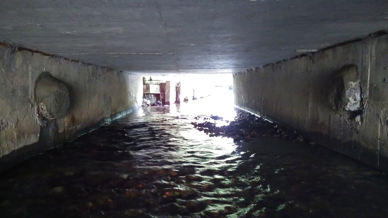 SUCCESS FOR SEWER CAMPAIGN AS SOUTHERN WATER REMOVE PIPE