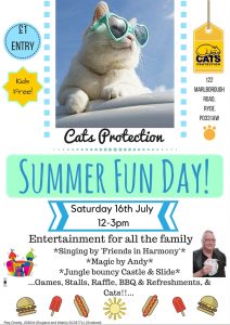 catsprotectionsummerfunday