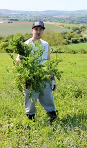 greenarmywildaboutwightarronhammond