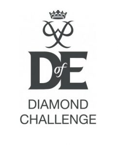 dofediamondchallengelogo