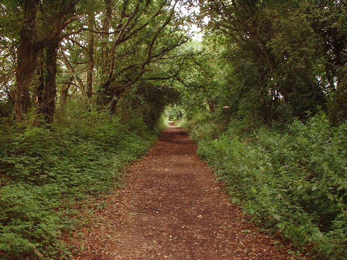 RAMBLERS EVENT TO INSPIRE PEOPLE TO ‘WALK ABOUT’