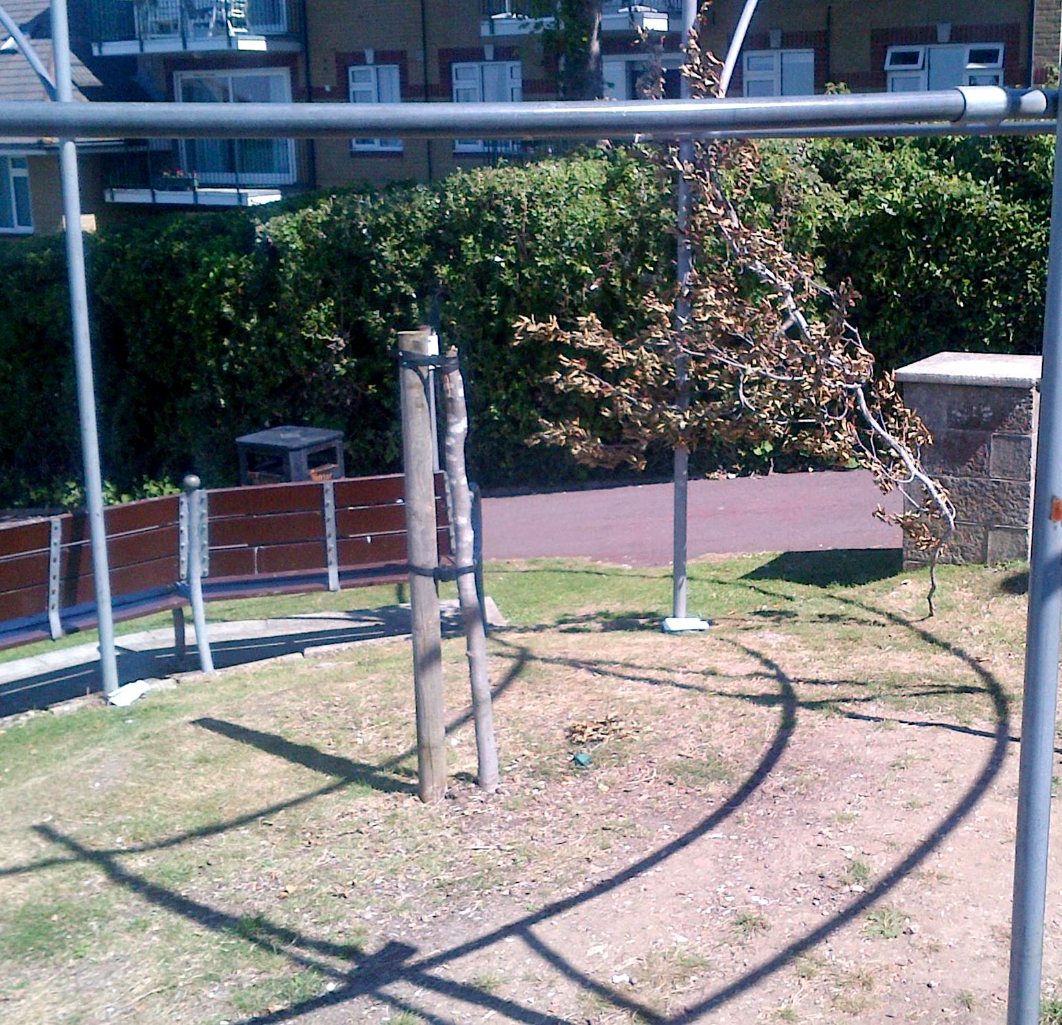 COWES TREE DESTROYED BY VANDALS