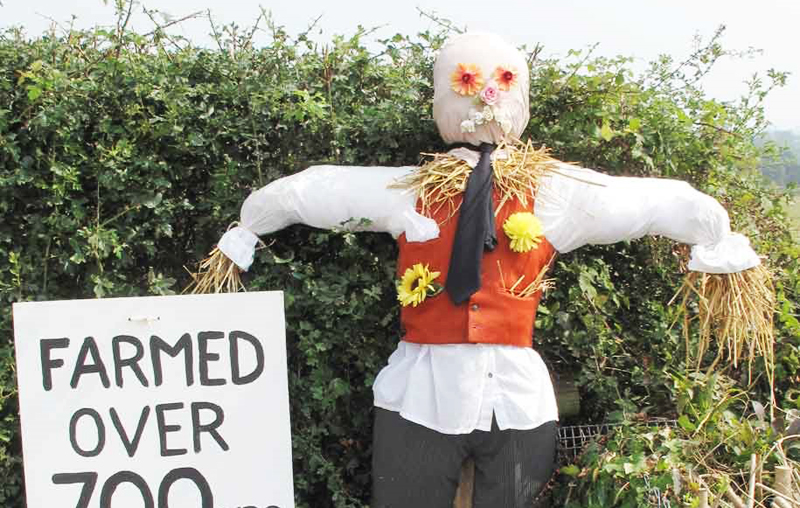 SCARECROW CAMPAIGN LAUNCHED IN BID TO SAVE WESTRIDGE FARM