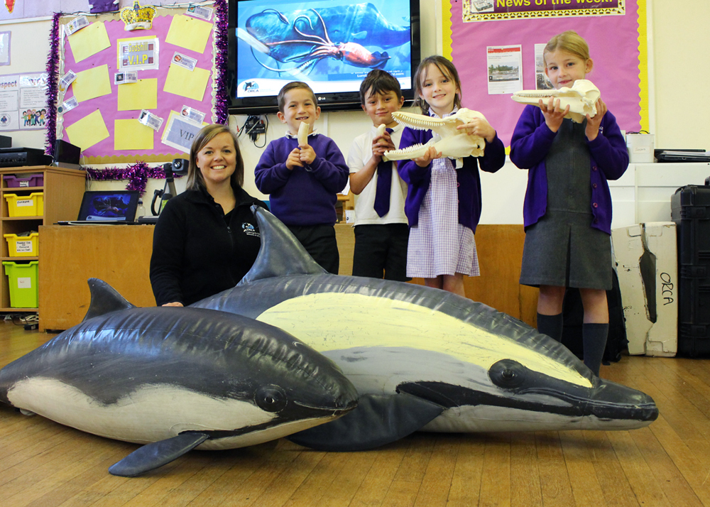 WIGHTLINK SUPPORTS WHALE AND DOLPHIN RESEARCH