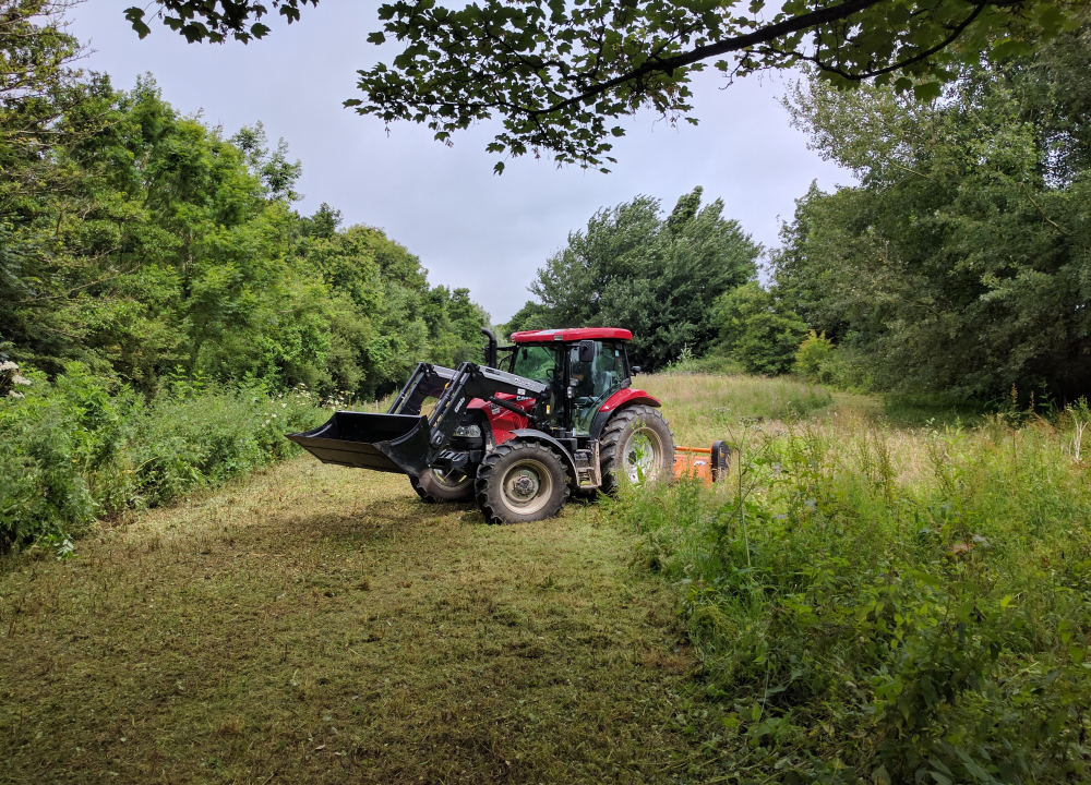 NEW LEASE OF LIFE FOR PAN MILL MEADOWS