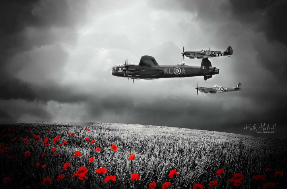 ISLAND FLIGHT EXHIBITION AT THE EARL MOUNTBATTEN HOSPICE