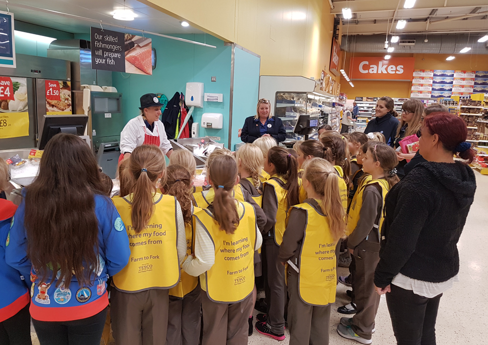 BROWNIES ON THE FARM TO FORK TRAIL