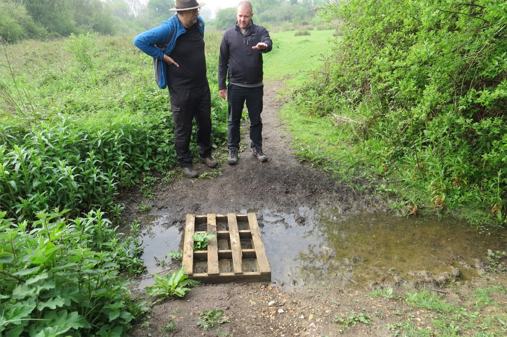 BAGS OF HELP FOR THE MEADOWS