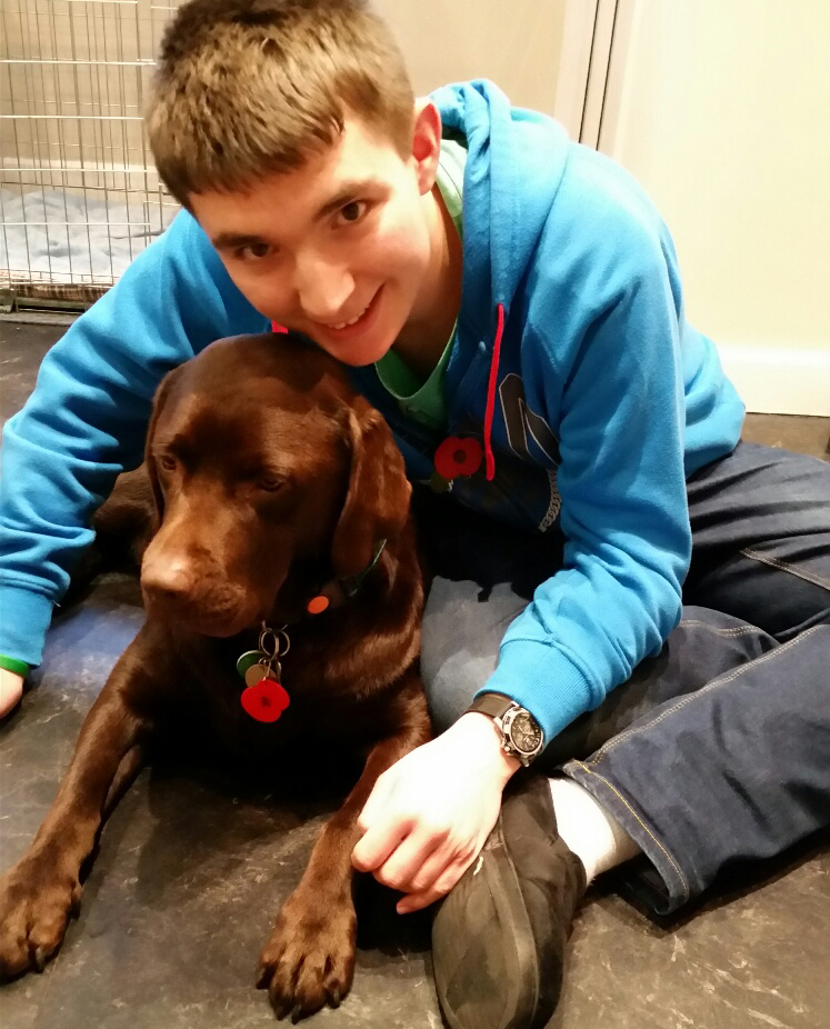 ABILITY DOG HAS TURNED ISLAND TEEN’S LIFE AROUND