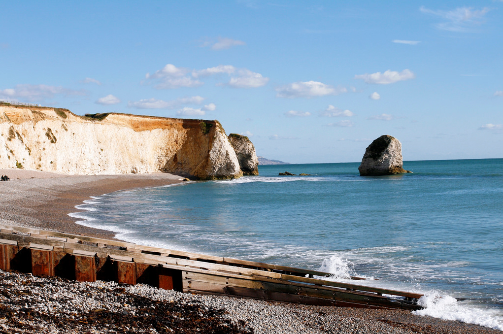 HUMAN ARM WASHED UP AT FRESHWATER BAY