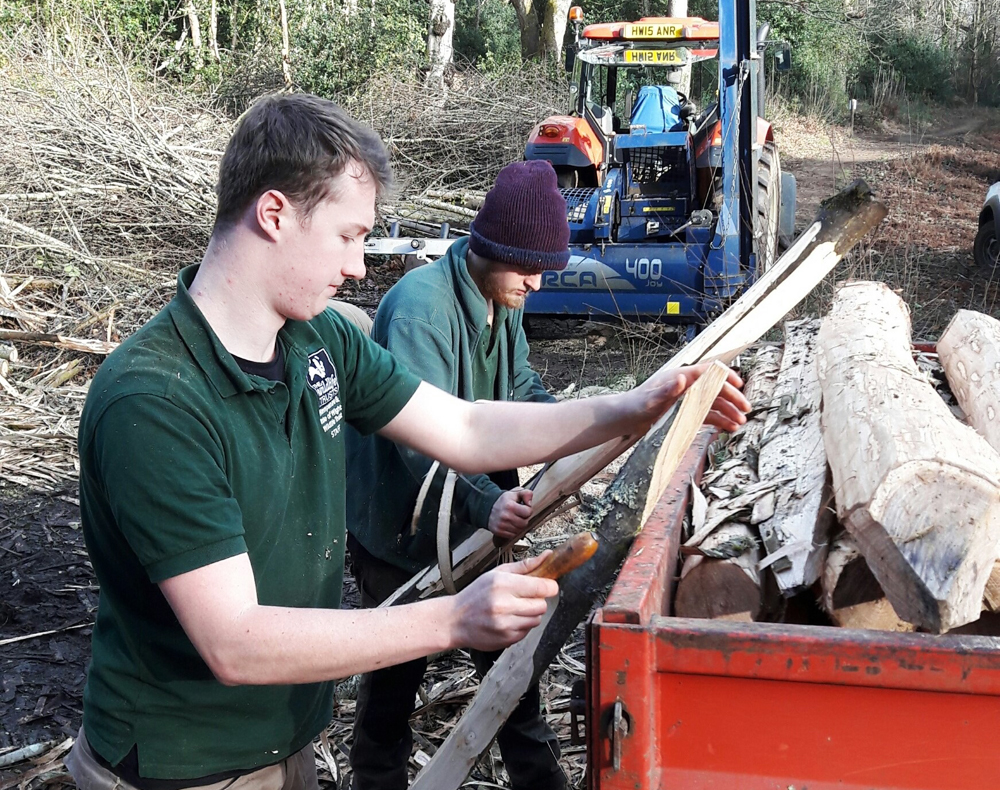 APPRENTICES MAKE BORTHWOOD COPSE MORE WILDLIFE-FRIENDLY