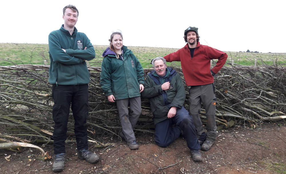 APPRENTICES ARE A HIT AT ISLAND HEDGELAYING COMPETITION