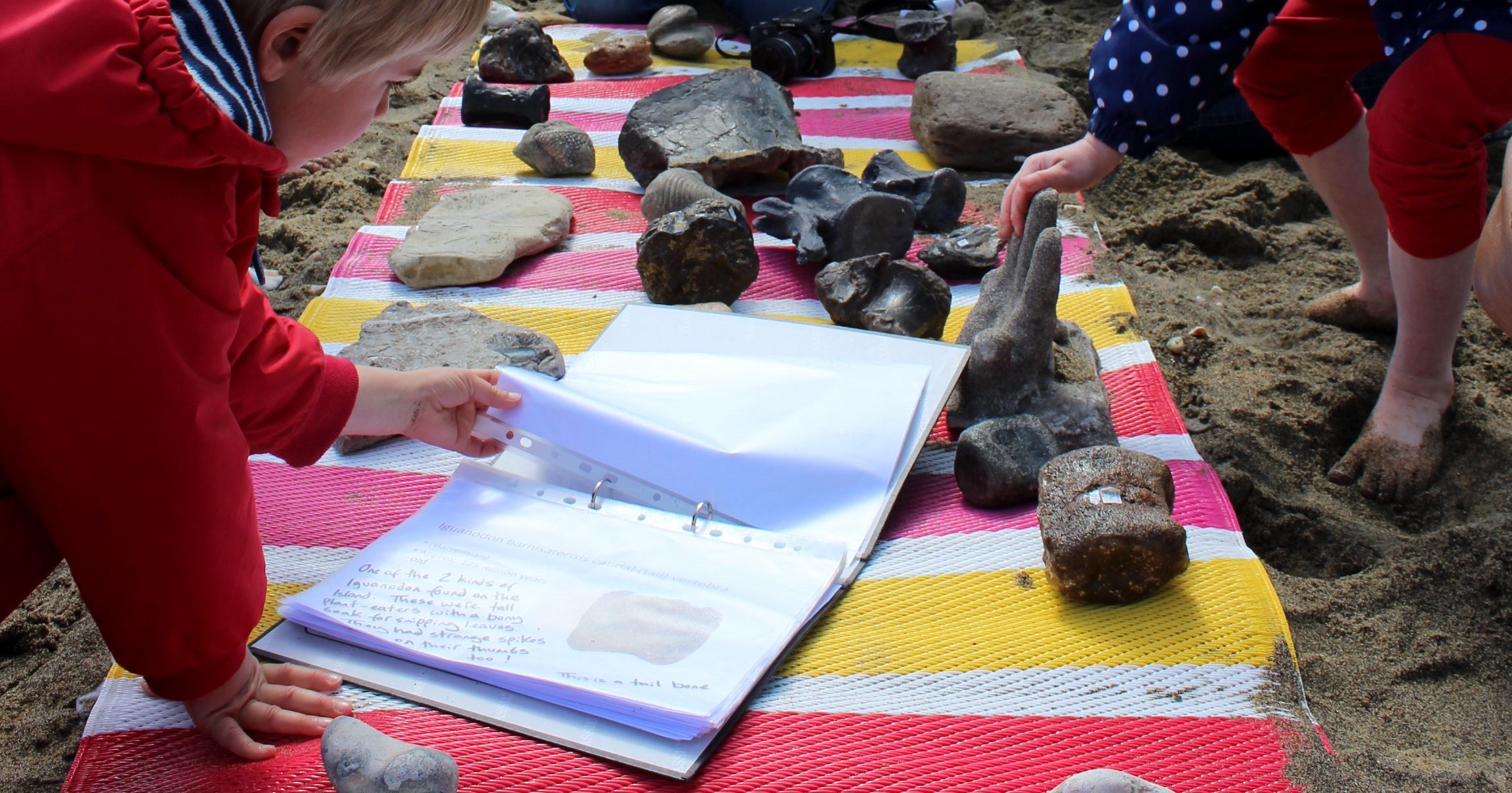 BEACH, BUGS AND BONES AT YAVERLAND