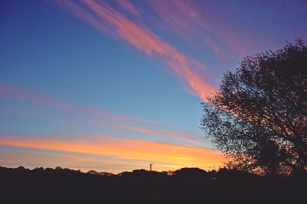ENJOY A 3-MILE DAWN CHORUS MAGIC WALK