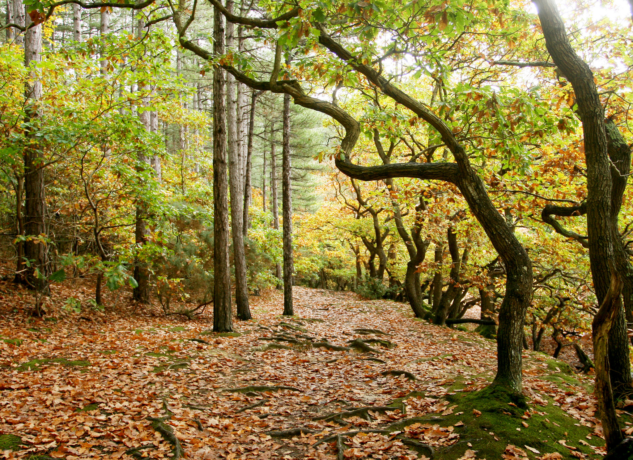 TALENTED PHOTOGRAPHERS SOUGHT FOR HOSPICE CALENDAR