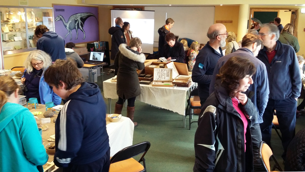 SCIENCE AND DISCOVERY IN THE BAY THANKS TO WEEKEND OF EVENTS