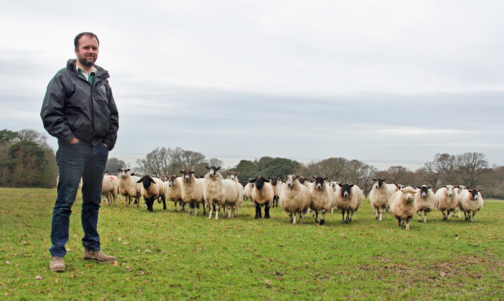 POLICY SHOULD UNDERPIN UK AGRICULTURE SAYS ISLAND’S NEW NFU CHAIR