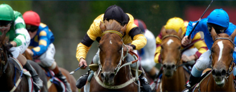 CHARITY RACE NIGHT IN AID OF ASPIRE RYDE