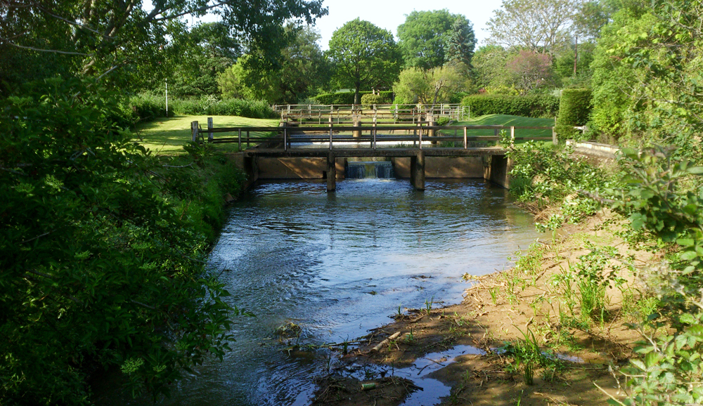 FAMILY FRIENDLY MAY DAY FUN ALONG THE RIVERBANK