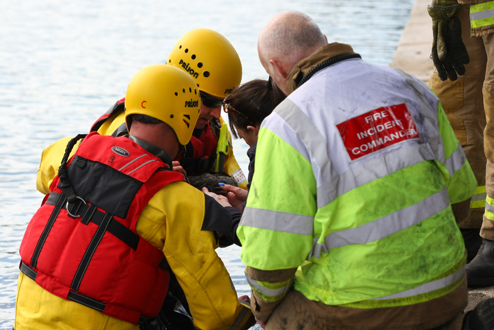 FIRE SERVICE CALLED TO ASSIST RSPCA IN ANIMAL RESCUE