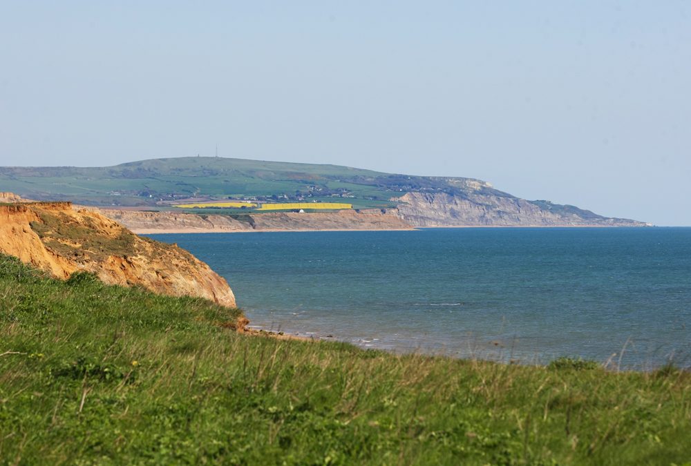 LARGE CLIFF FALL NEAR BRIGHSTONE