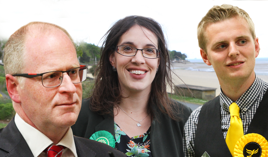 POLL PUTS GREEN CANDIDATE AHEAD GOING INTO GENERAL ELECTION