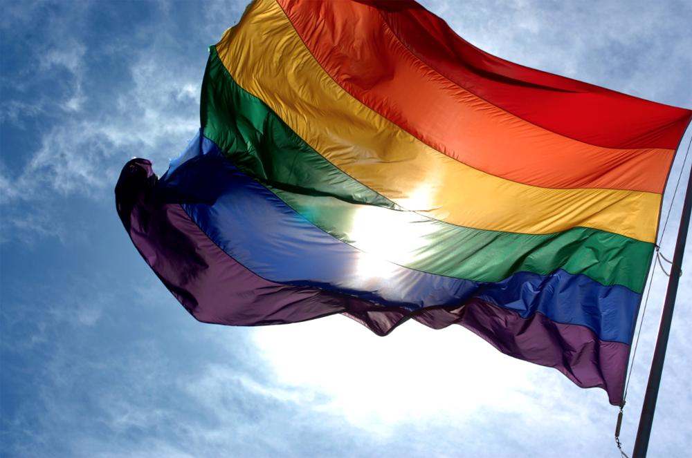 FESTIVAL ORGANISERS THROW SUPPORT BEHIND ISLE OF WIGHT PRIDE