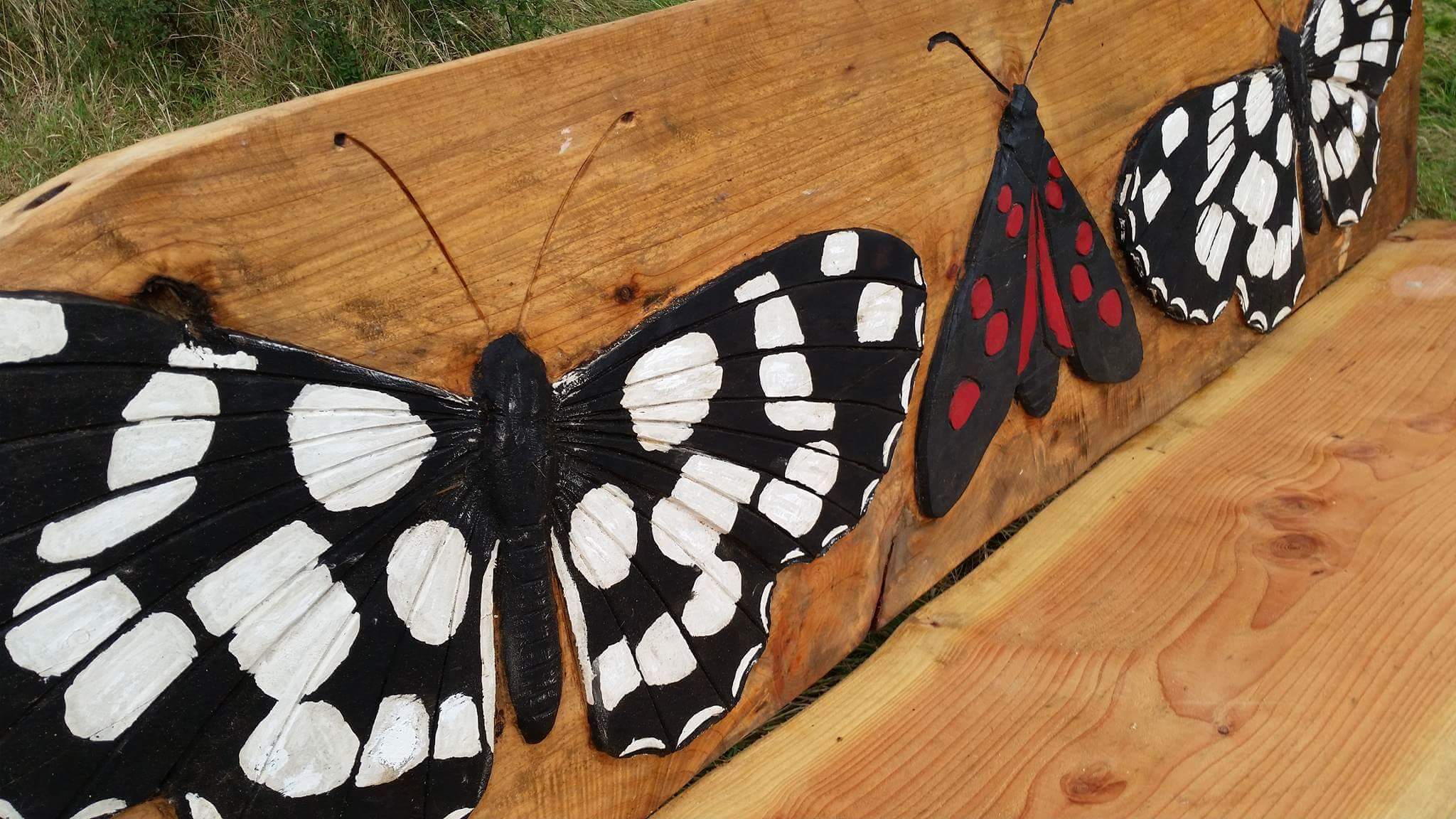 NEW ARTS TRAIL FOR PAN COUNTRY PARK