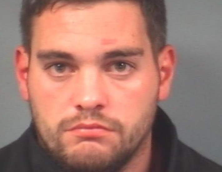 HUDSON JAILED FOR 6-AND-A-HALF YEARS FOR CHRISTMAS KILLING