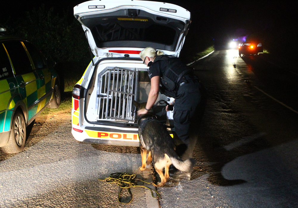 FIRE SERVICE CALLED AFTER CRASH DRIVER FLEES