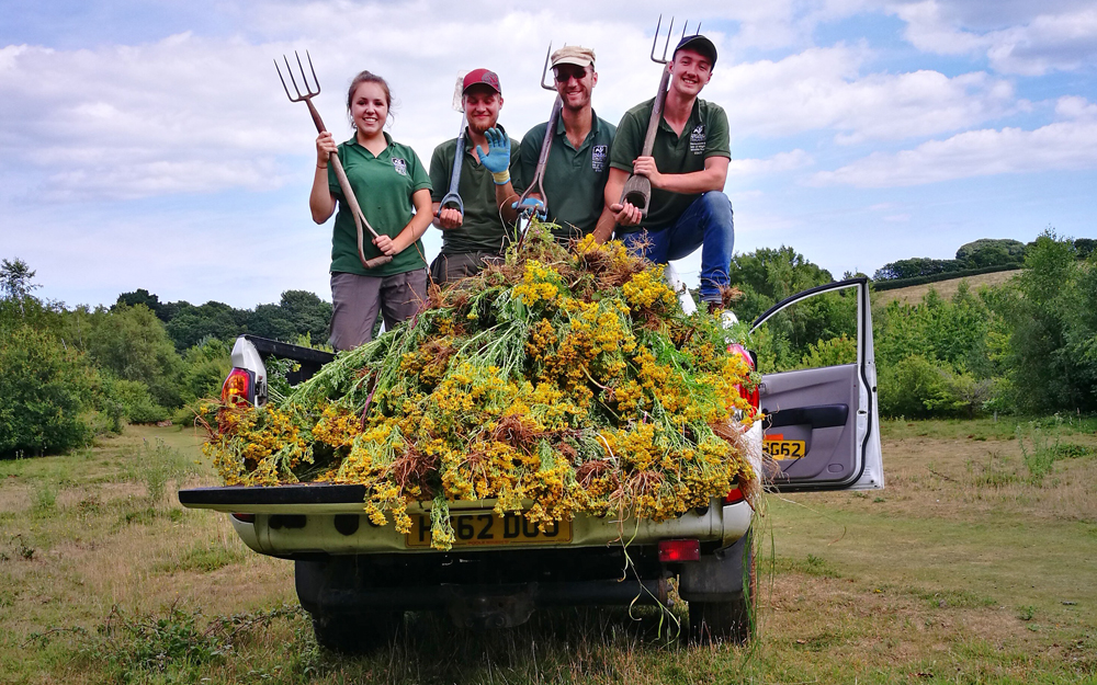 APPRENTICES MAKE THEIR MARK ON LOCAL WOODLANDS