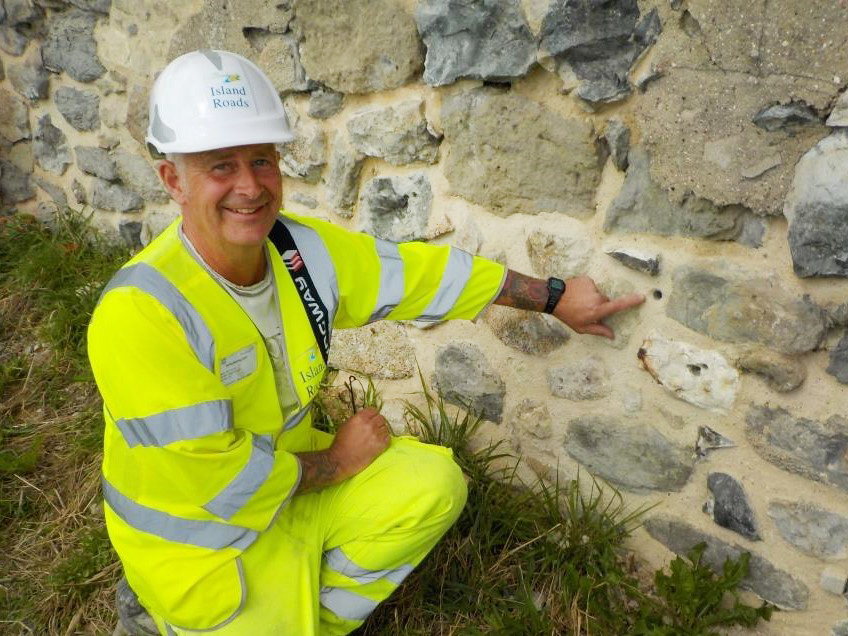 INNOVATIVE SOLUTION FOUND FOR VENTNOR LIZARD COLONY