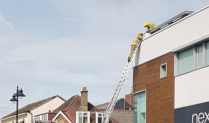 SEAGULL IN DISTRESS CLOSES NEWPORT ROAD